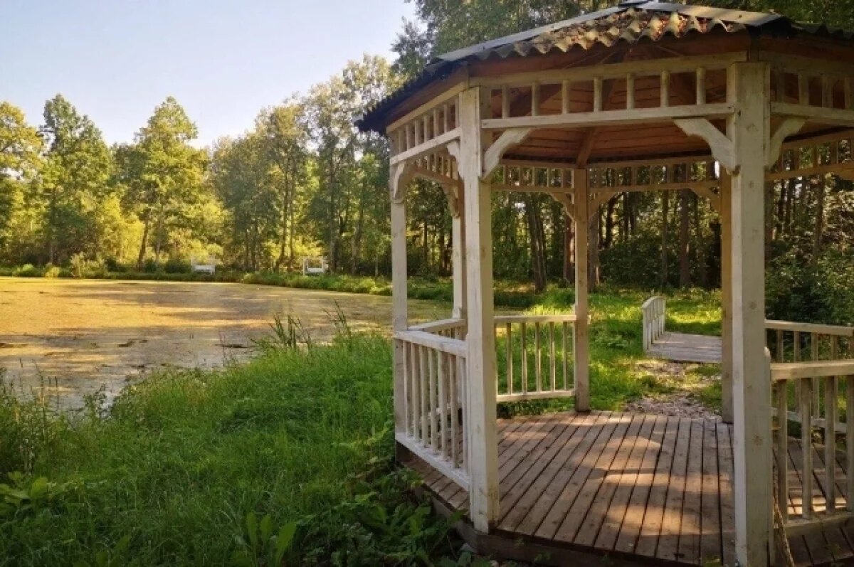    723 заявки поступило на региональный конкурс ТОСов в Псковской области