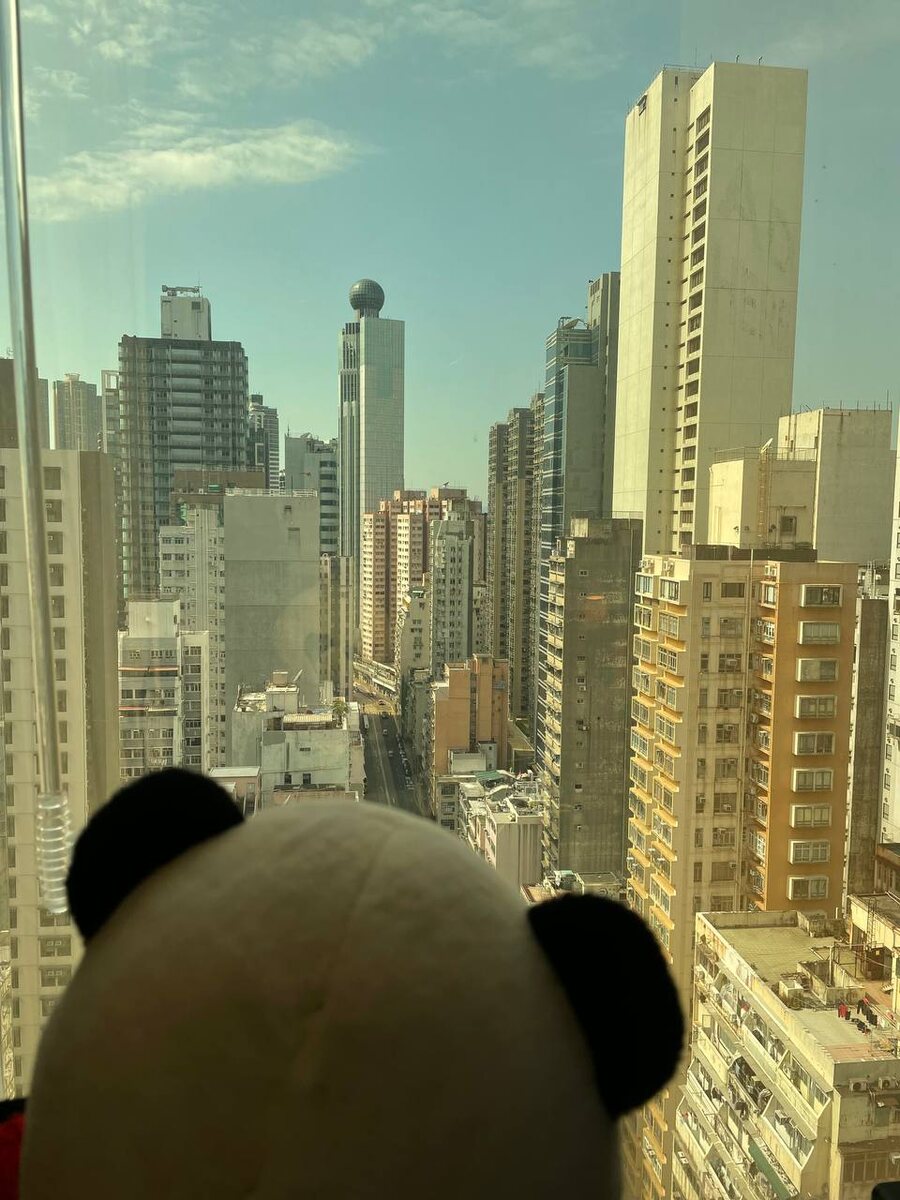 Вид на даунтаун