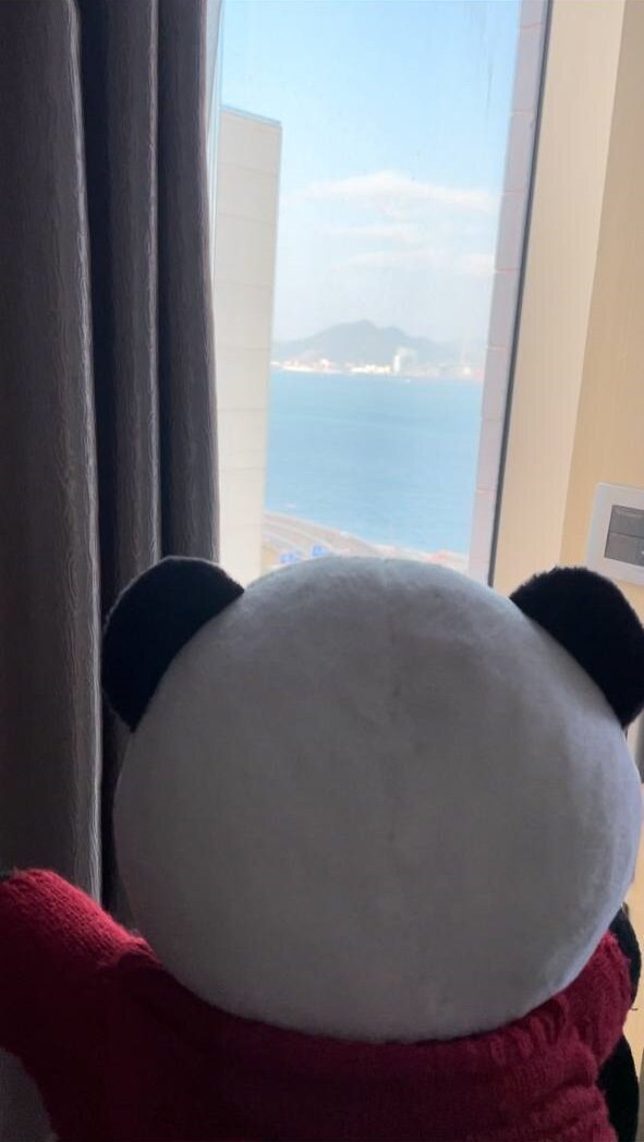 Вид из окна отеля Eco Tree Hotel