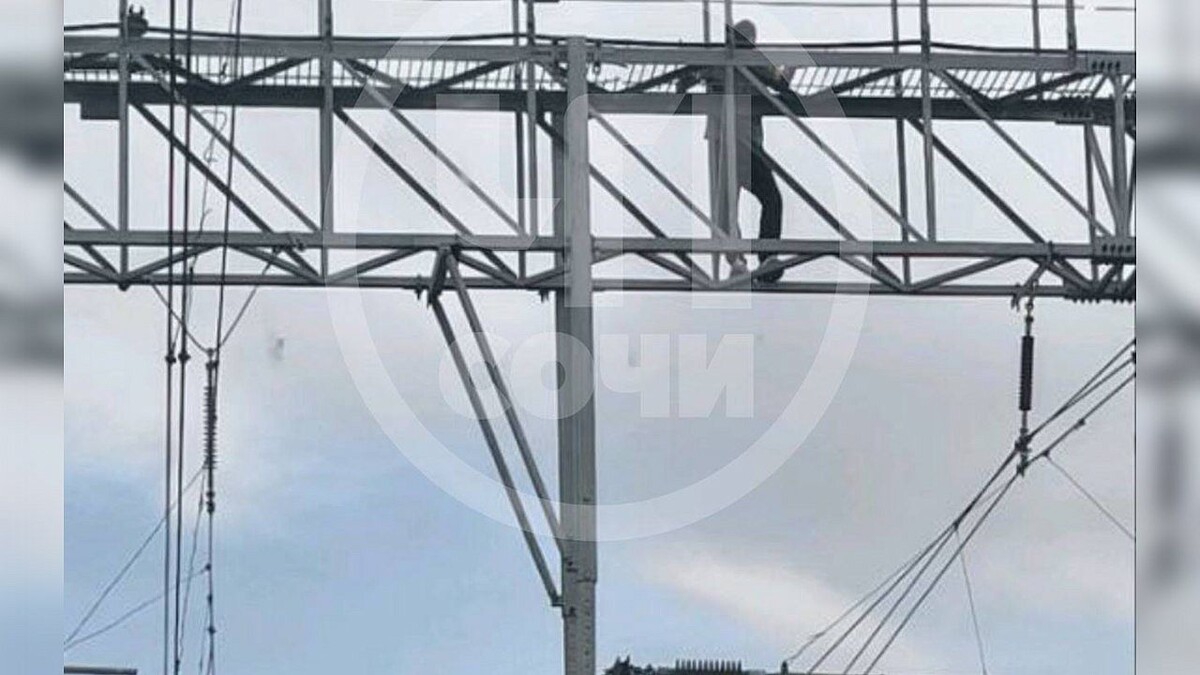    Фото: t.me/chp_sochi