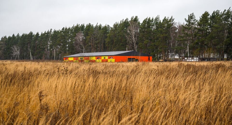    Медиасток.рф