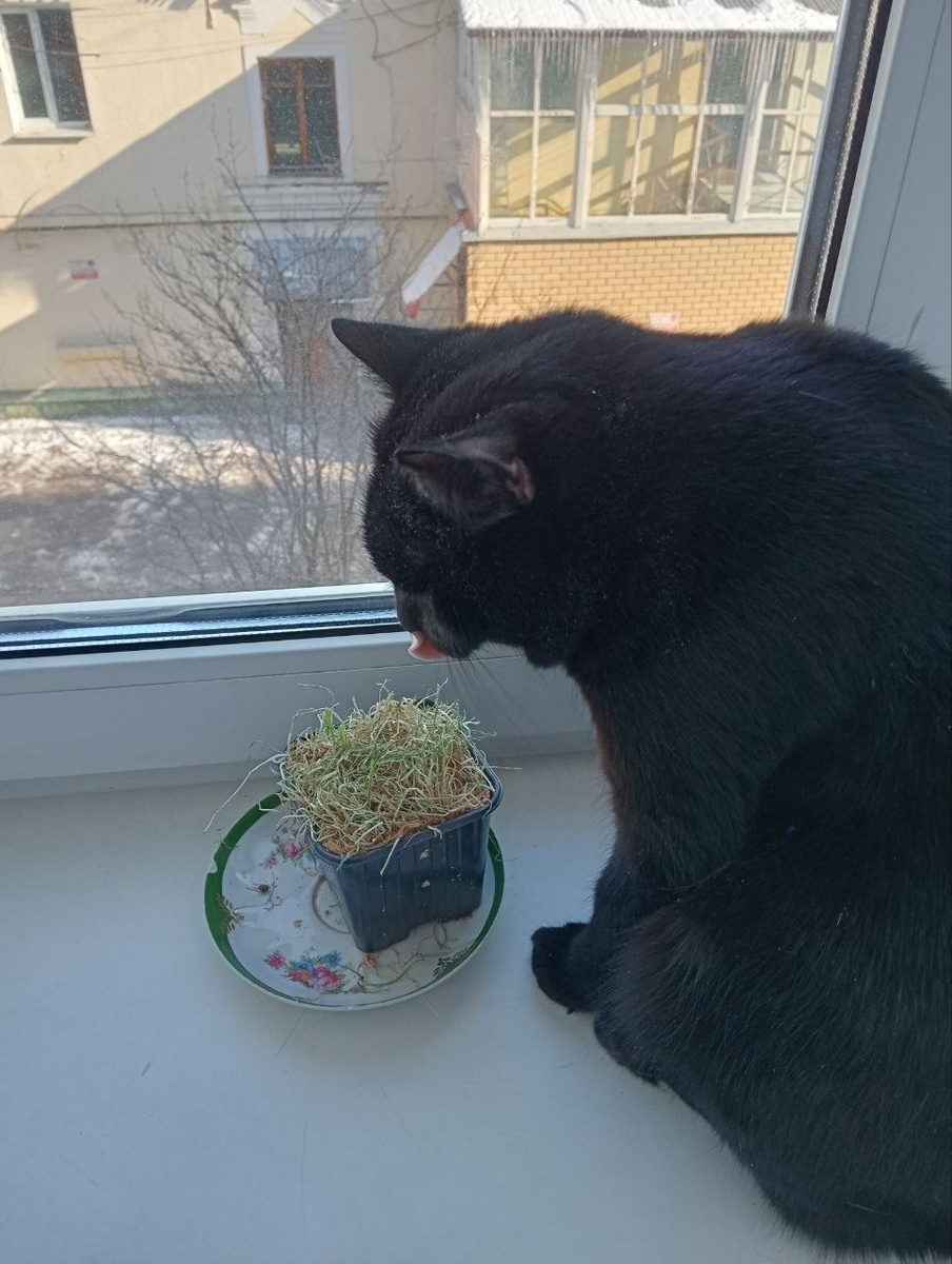 Фото автора.