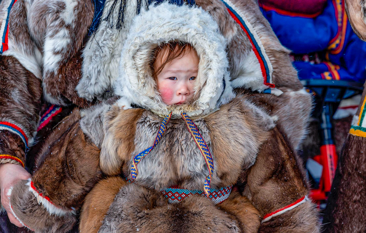 День оленевода в Надыме, 2025 г. Фото: Чирва Александр/АНО «Ямал-Медиа»