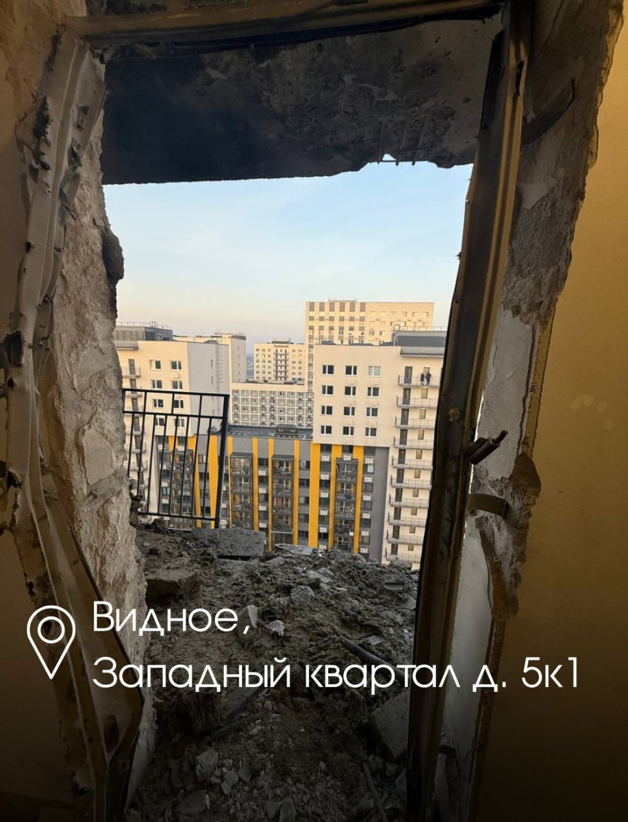    Фото: Telegram-канал губернатора Подмосковья Андрея Воробьева