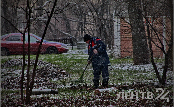    © Анастасия Илюшина / ЛенТВ24