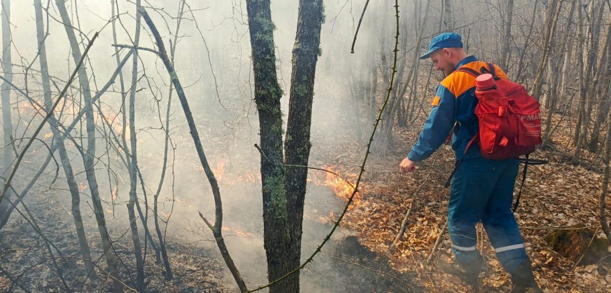    Фото t.me/krd_klpc