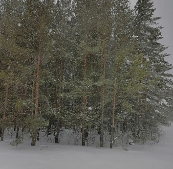 Фотография из личного архива автора