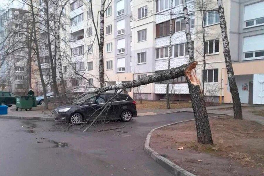    Фото: Агентство "Минск-Новости"