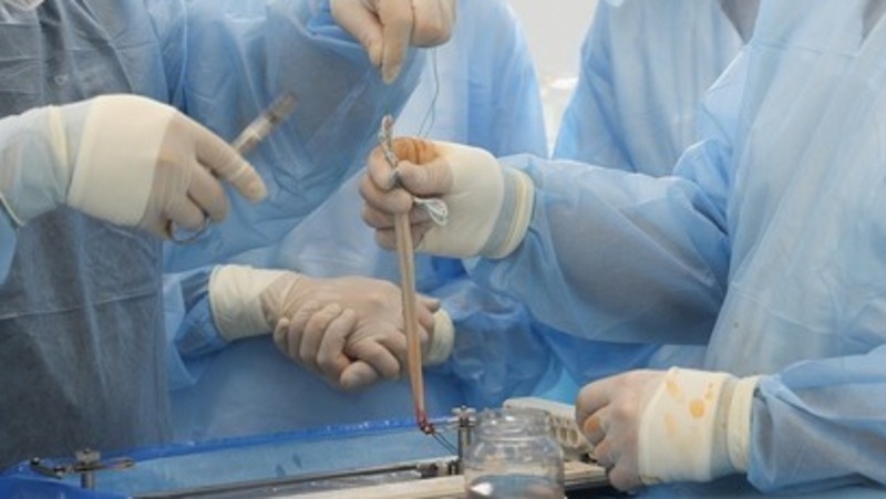      Фото: ИА «Победа26»