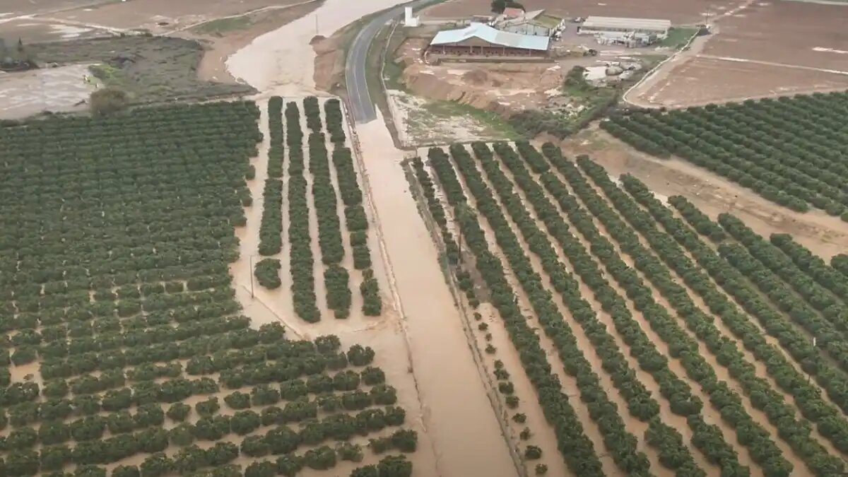 Фото:скриншот видео Ayuntamiento de Cartagena
Шторм Jana в Испании привел к затоплению сельхозугодий на значительных площадях