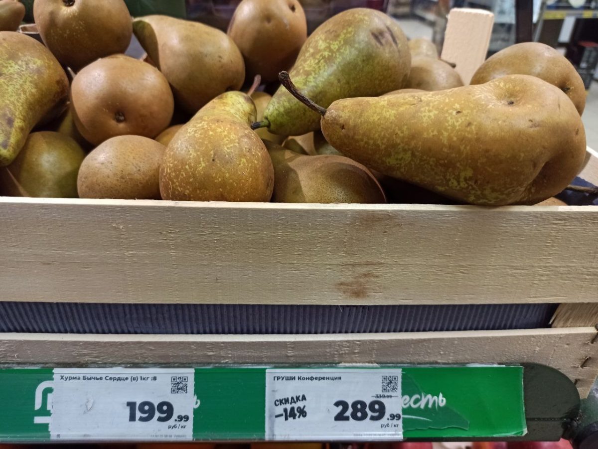    Фото: Марина Ухабова