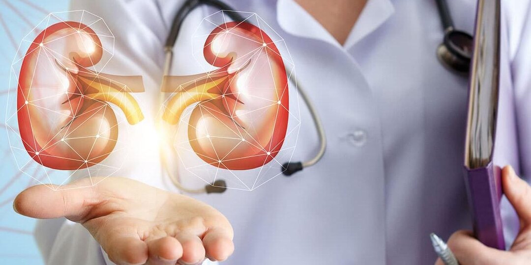 Причины и ранние признаки заболеваний почек