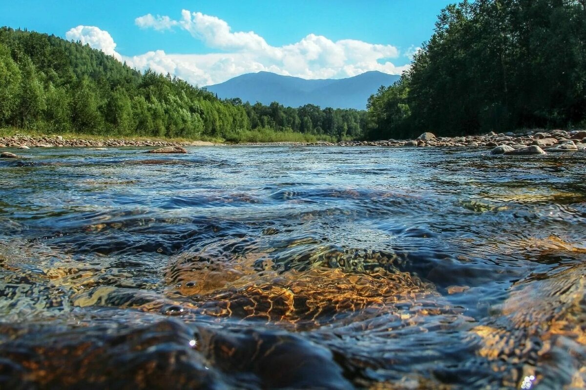 Сгенерировано ИИ