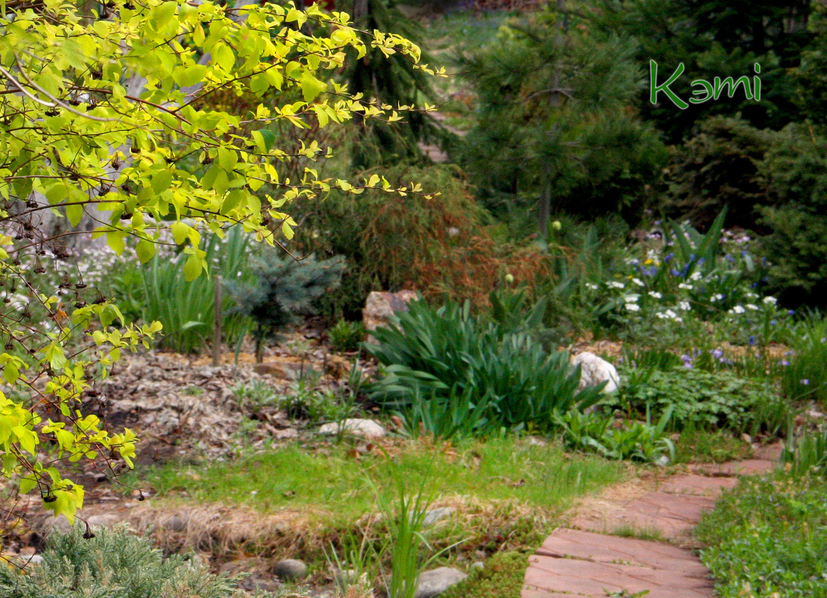 Мой сад в конце апреля.