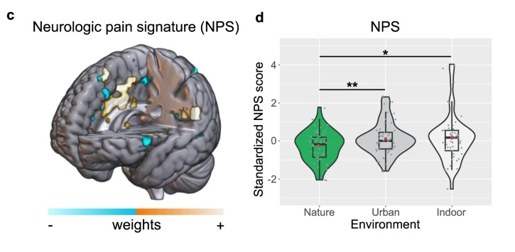   Steininger et. al / Nature Communications, 2025