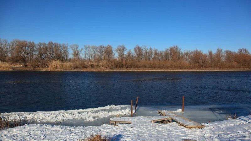    Фото: as_trofey/Shutterstock/Fotodom