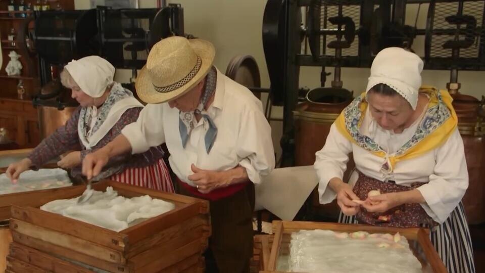 Фото: © Кадр из программы "Купи-продай" РЕН ТВ