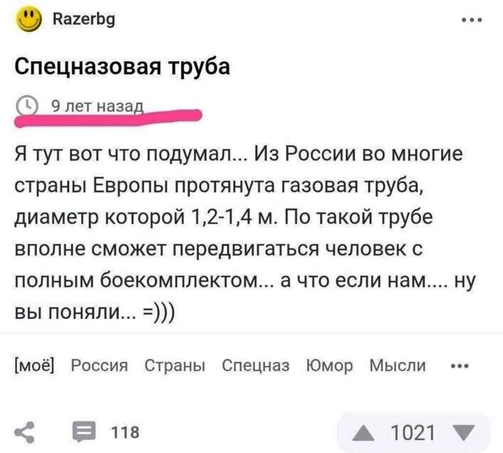 Скрин поста с Пикабу.