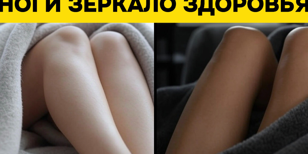 Почему мерзнут ноги даже в носках? Разгадываем сигналы тела и находим решения