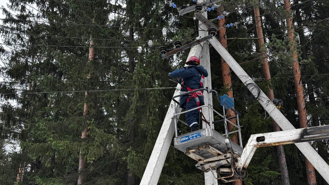 Фото: "Россети Ленэнерго"