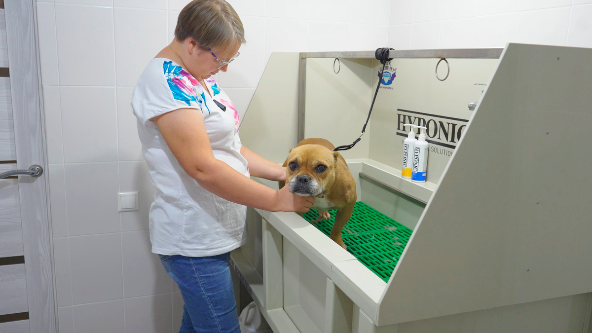 Яна будет мыть Васаби