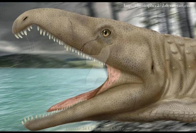 Протерозух.