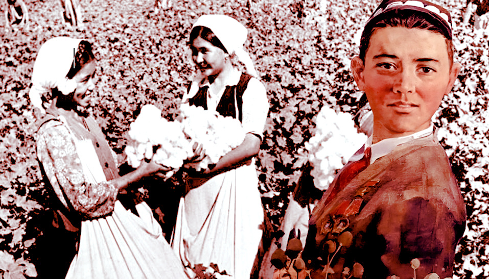 Работник сельского хозяйства Т. Матказимов.