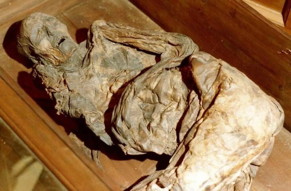 Женщина Хюльдремосе была одним из мумифицированных тел, найденных в 1879 году в Дании. Около 160 г. до н. э. – 340 г. н. э.