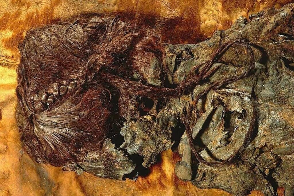 Женщина из Эллинга. У неё по-прежнему видно свои красиво заплетенные волосы.