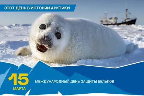 Международный день защиты бельков