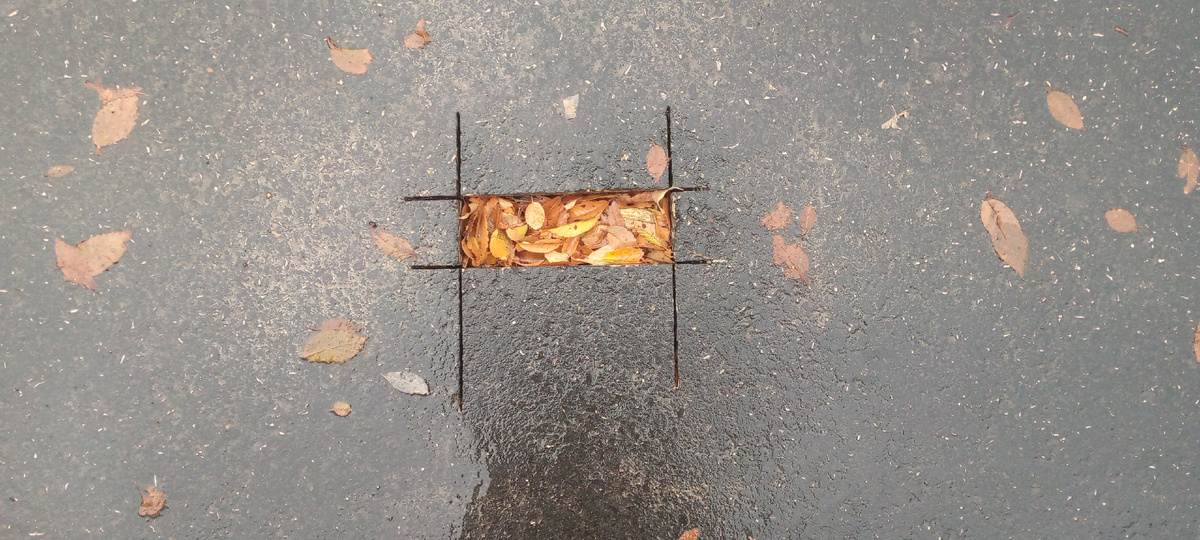 Мечты о многом душат нас. Давай заботиться о малом, вдруг нам остался только час.