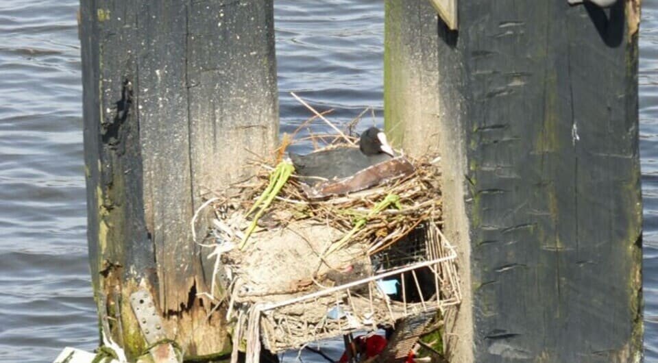   Arnoud de Jong / Flickr / CC BY-NC-ND 2.0