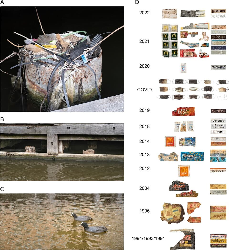   Auke-Florian Hiemstra et al. / Ecology, 2025