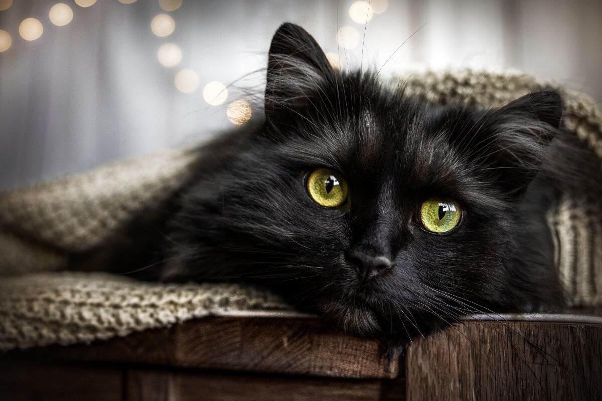 для обложки