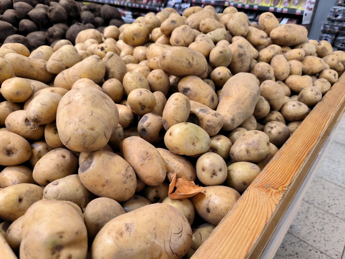 Фото: © Maksim Konstantinov/ Global Look Press