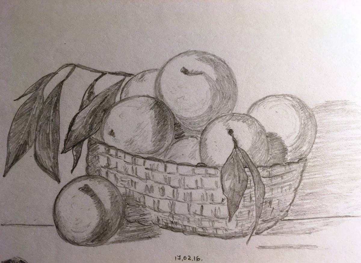 Рисунок подписан 17 февраля 2016 года.