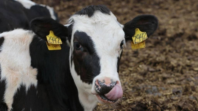 Фото: комитет по управлению государственным имуществом Ленинградской области