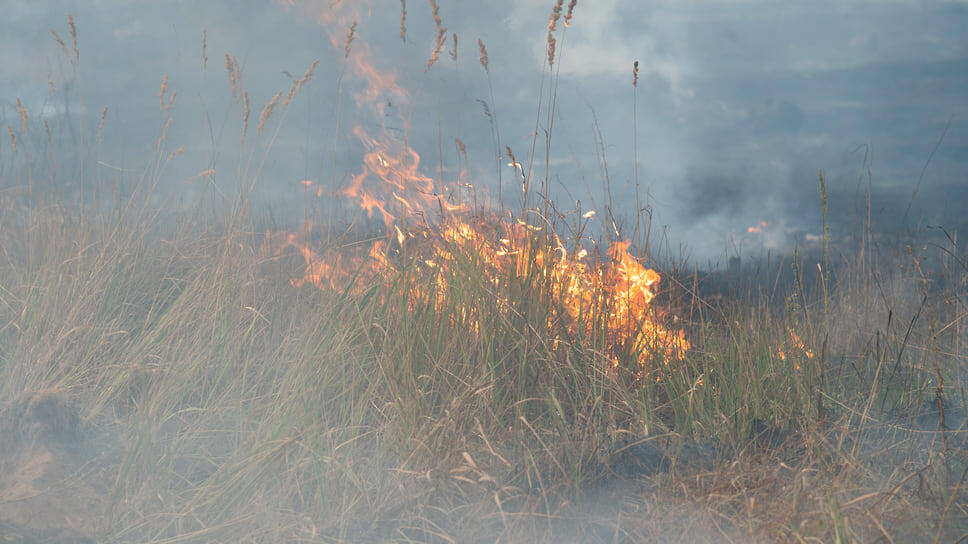 Фото: Олег Харсеев / Коммерсантъ