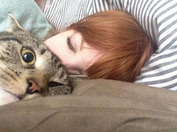 Кошка вела себя удовлетворительно