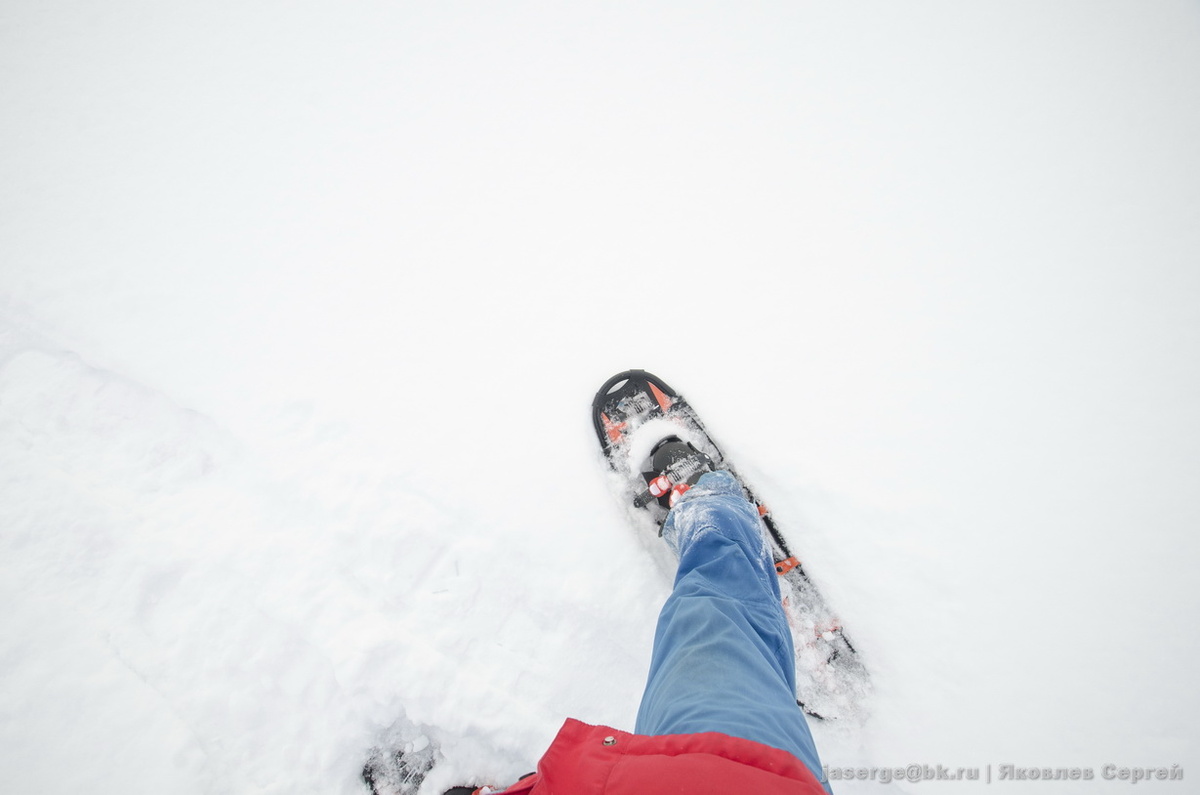Снегоступы лучшие помощники в мезенских путешествиях.