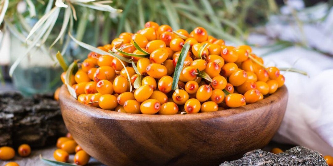 Облепиха: средство от простуды или уникальная «молодильная» ягода.