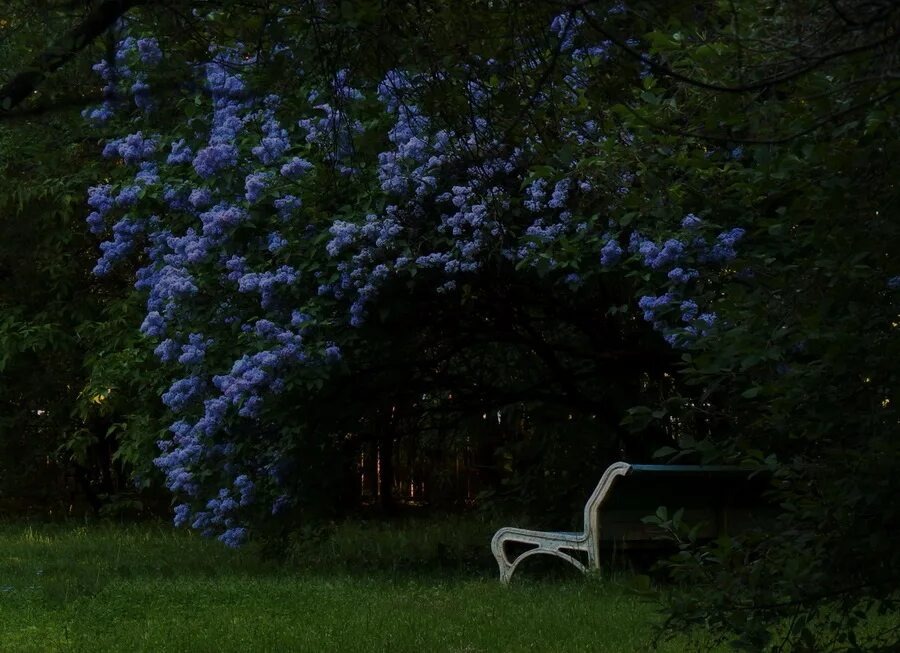 фото из интернета