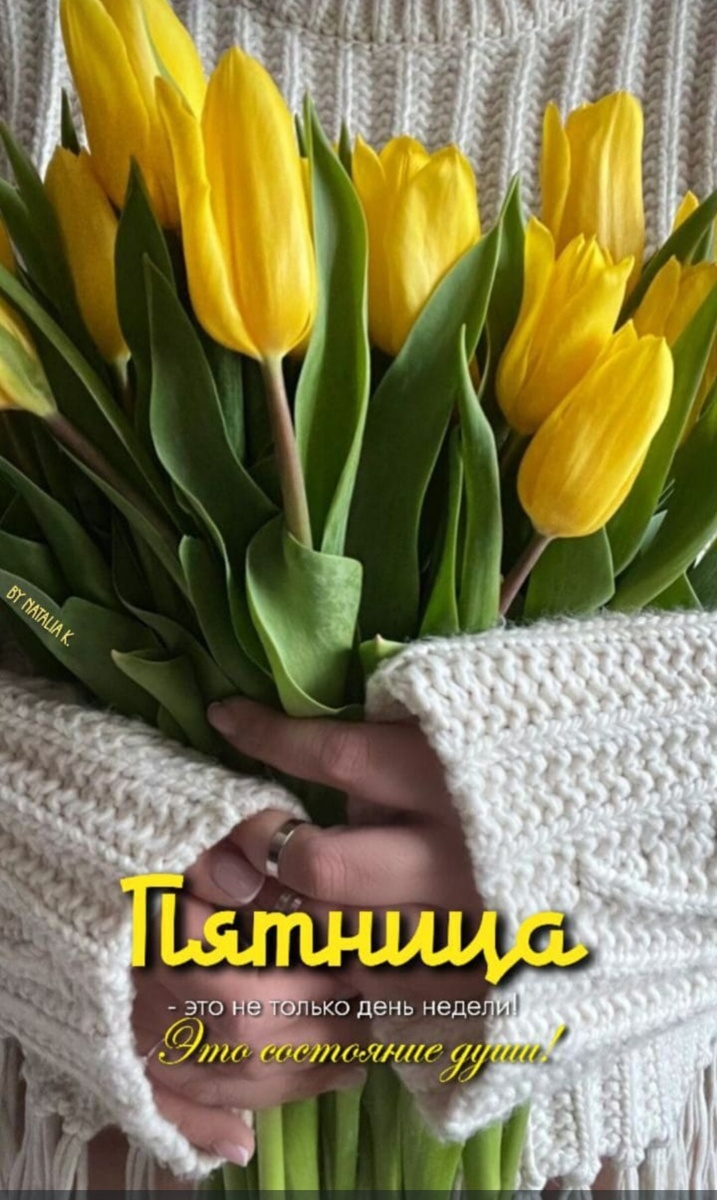 Фото из интернета