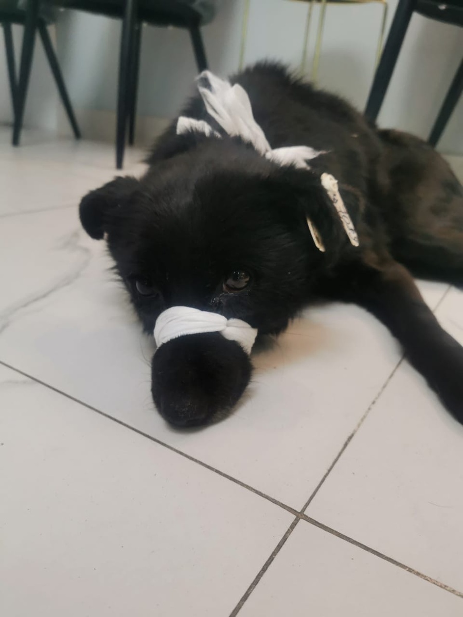 Прямо сейчас мы находимся в клинике