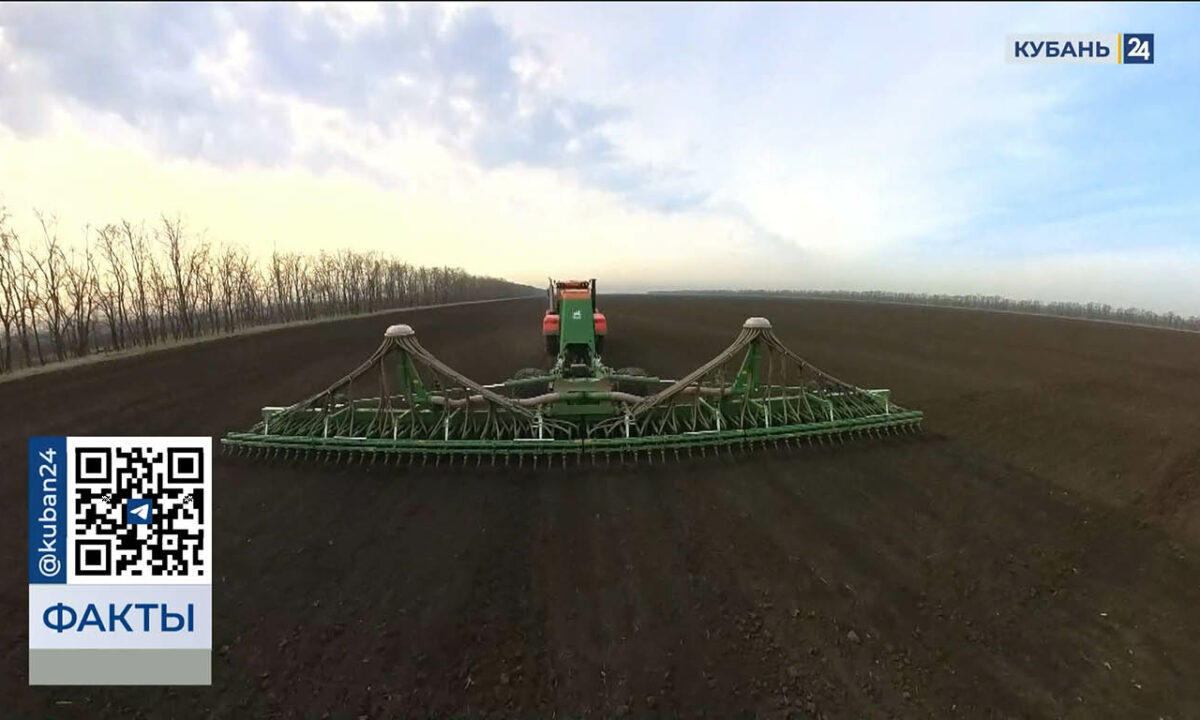    Видео канала «Кубань 24»