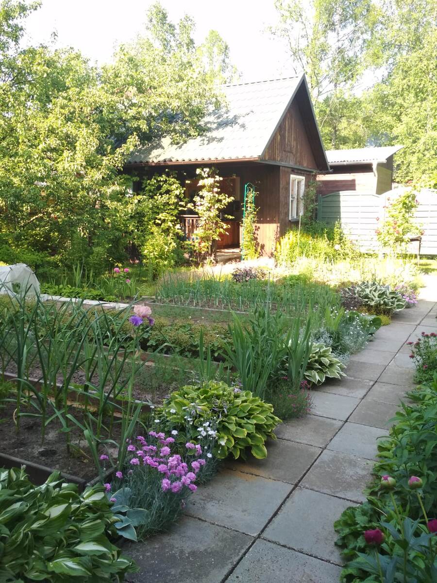 Вид от дома.