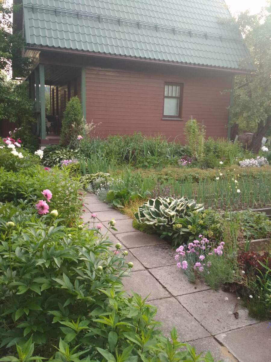 Вид в сторону дома.