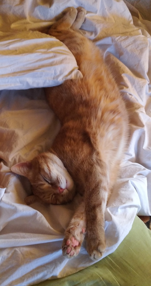 Личное фото.