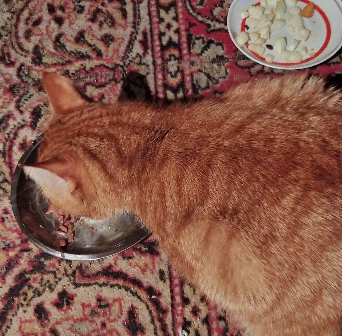 Личное фото