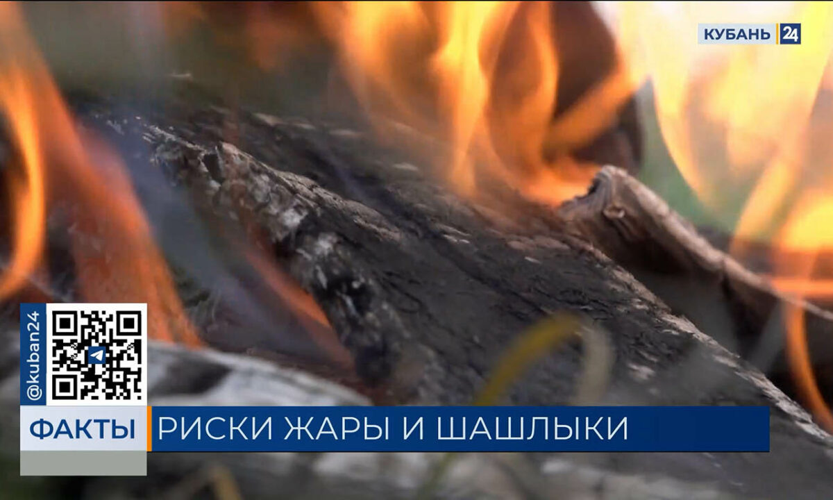    Видео канала «Кубань 24»